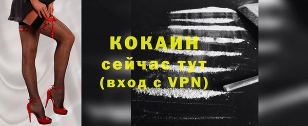 PSILOCYBIN Аркадак