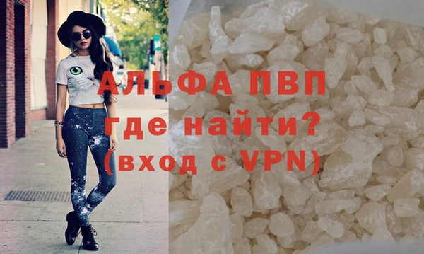 PSILOCYBIN Аркадак