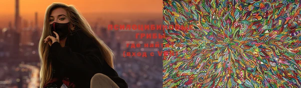PSILOCYBIN Аркадак